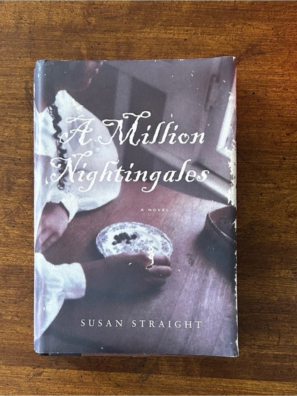 A Million Nightingales: A Novel - Hardcover By Straight, Susan - GOOD
